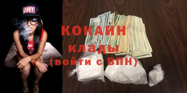 соль ск Алзамай