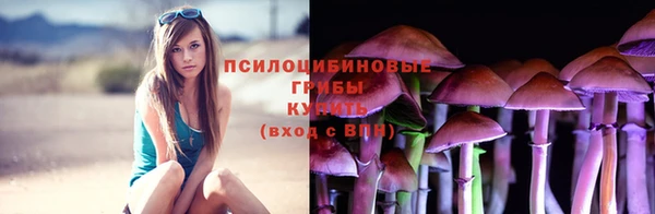 соль ск Алзамай