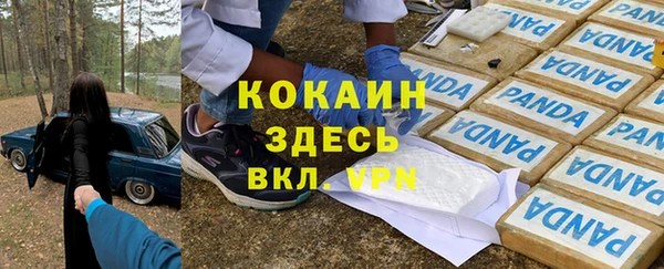 прущие грибы Алексин